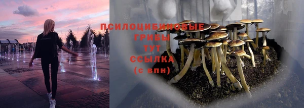 герыч Переславль-Залесский
