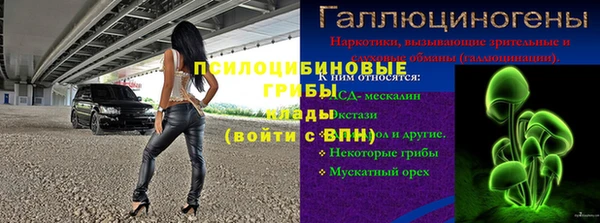 экстази Богородицк