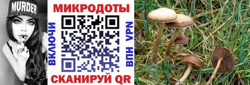 mega ссылки  Разумное  Псилоцибиновые грибы Cubensis  цена наркотик 
